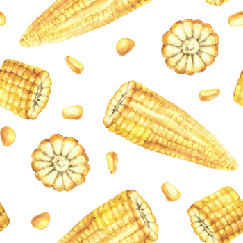Corn seamless pattern Yellow kernels, cut corncobs or sweet golden maize plant cobs pieces and seeds. Watercolor hand drawn illustration for canned food label, fabric. Isolated from background clipart png