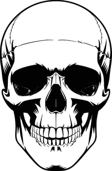 A skull with a black and white face vector