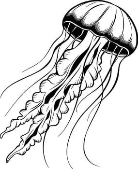 Jellyfish coloring pages free printable vector