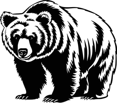 A black and white bear on a white background white isolated background vector