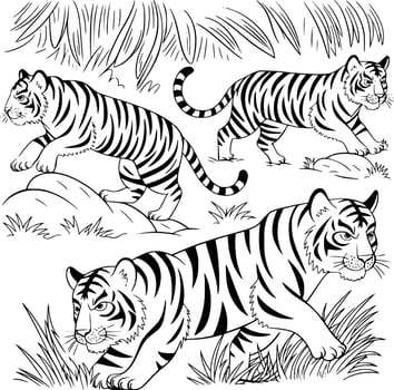 Tiger coloring pages for kids white isolated background vector