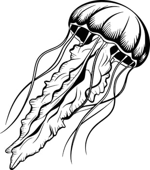 Jellyfish coloring pages free printable coloring pages vector