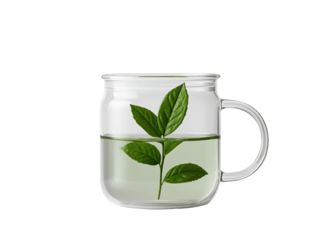 Fresh herbal tea with green leaves in glass mug png