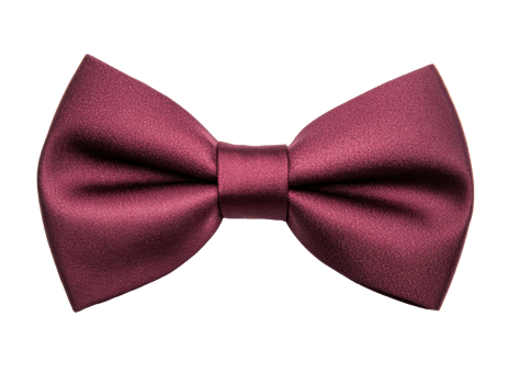 Elegant burgundy bow tie for formal attire and special occasions png