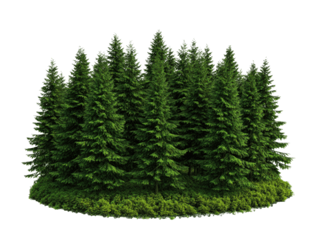 Lush evergreen forest surrounded by greenery for outdoor projects png