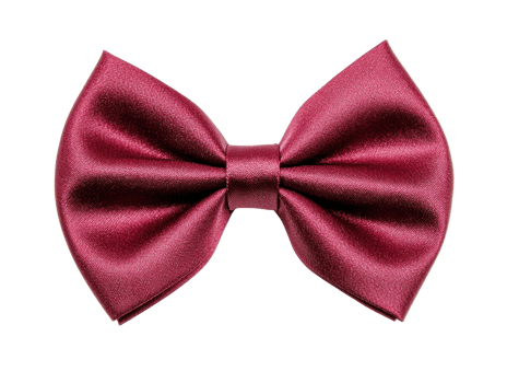 Elegant maroon bow tie for formal occasions and celebrations png