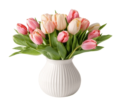 Colorful tulip bouquet in a decorative vase for spring decor png