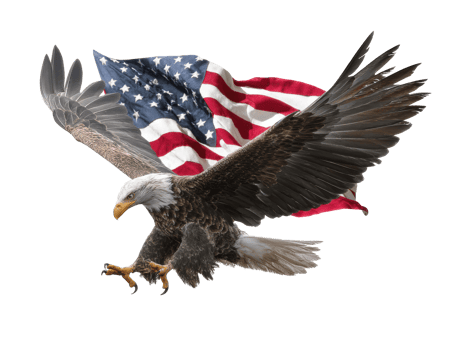Eagle soaring against an American flag backdrop png