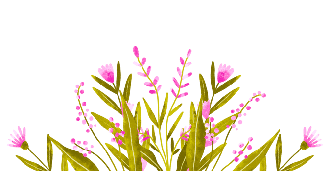 Border header PInk petal wild field flowers. Botanical hand drawn watercolor illustration on isolated background. Greeting card png