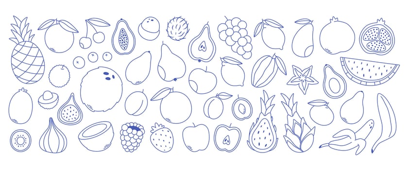 Doodle outline fruits collection. Set of different fruits and berries. Collection of organic vitamins and healthy nutrition vector