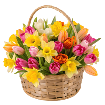Colorful spring bouquet in woven basket filled with blooming flowers png