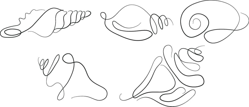set of icons of various shells, mollusks and shells drawn with several lines in line art style, for various marine designs and company logos vector