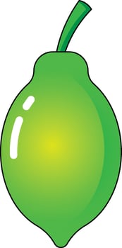 papaya vectors illustration