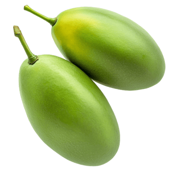 High-quality mango arrangement on see-through base png