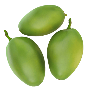 Unripe green mango fruit composition without background png