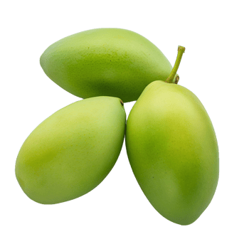 Fresh green mangoes isolated on clear background png