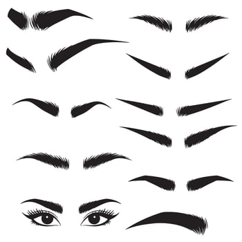 Beauty eyebrow illustration set with eye detail in clean silhouette format vector