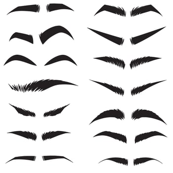 Variety of eyebrow icons and dramatic eye lashes in elegant silhouette bundle vector