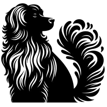 Elegant newfoundland silhouette, black and white illustration vector