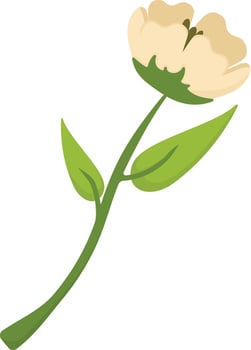 Cream Colored Floral Bud vector
