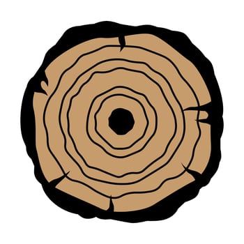 Wooden slice of a tree with annual rings. illustration. vector