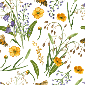 Wild flowers, bouquets of meadow flowers, yellow buttercups, leaves and cereal plants.Seamless watercolor pattern. All objects are hand-drawn with watercolor. For printing on fabric, paper, stationery png