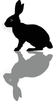 Silhouette Rabbit Animal Outline Shadow Image vector