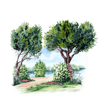 Landscape with tree in the riverside in watercolor technique png