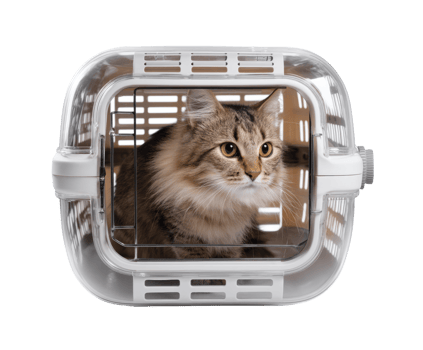 Cat in a travel carrier ready for a trip to the veterinarian png