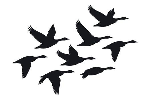 Silhouette of Eight Geese Flying in Formation Against a White Background vector
