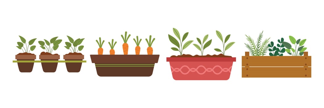 Colorful gardening elements including tools, plants, fences, decoration. vector