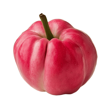 Fresh, ripe rose apple displayed against a clean, transparent background to emphasize its vibrant, natural colors, fresh rose apple isolated on transparent background png