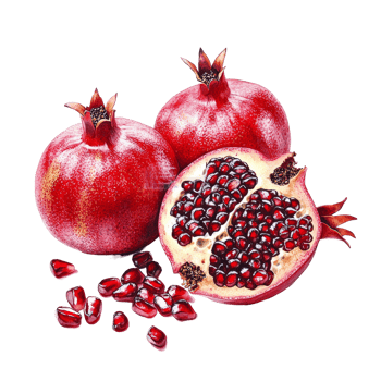 Vibrant and juicy pomegranates displayed on a clean transparent background inviting a fresh and healthy lifestyle, Vibrant and Luscious Pomegranate on transparent background png