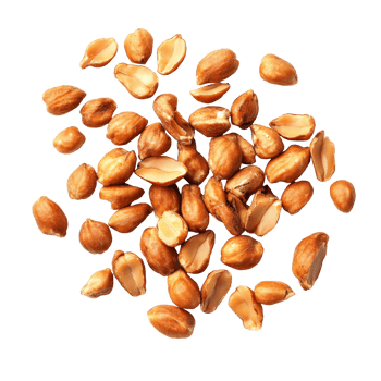 A collection of roasted peanuts scattered on a transparent background showcasing their unique shapes and textures, Peanuts Roasted nuts isolated on transparent background png