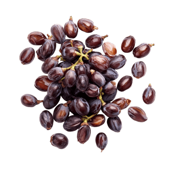 Grape seeds isolated on a clean transparent background showcasing their natural texture and dark coloration, grape seed isolated on transparent background png