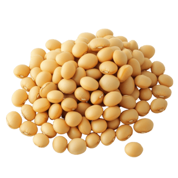 Aerial view of a mound of isolated soybean seeds showcasing their unique appearance in natural light, Different angle of individual soybean isolated png