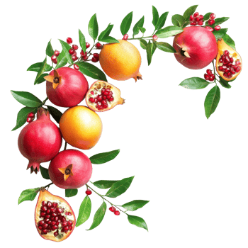 Colorful fruits including mangos, apples, and pomegranates arranged beautifully with green leaves, Branch of delicious mangos, apples, pomegranates on whtie background cutouts png
