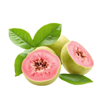 Fresh guava on white background showcasing ripe fruit and green leaves, guava isolated on white background png