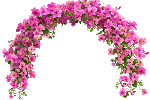 Vibrant Pink Bougainvillea Flower Archway For Floral png