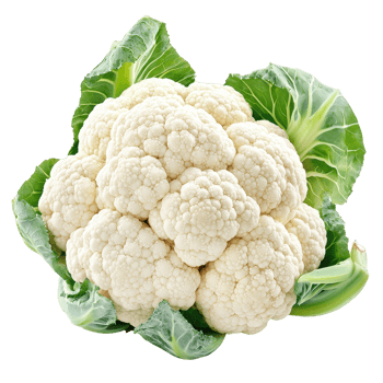 Fresh organic cauliflower surrounded by vibrant green leaves on a white background, Fresh organic cauliflower vegetables isolated on aisolated on white background png