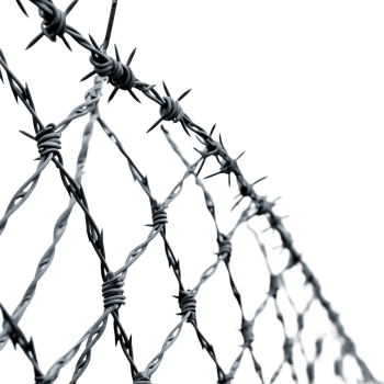 Steel barbed wire fence against a Transparent background with sharp points and twisted strands, Steel Barbed Wire Fence background png