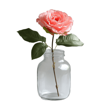 Elegant rose in a glass jar against a Transparent background showcasing beauty and simplicity, Rose in a glass jar background Rose flower glass jar png