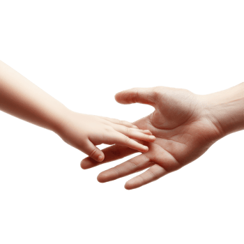 Connection between child and adult hands symbolizing trust and love on a white background, Child and adult human hands isolated on white background. png