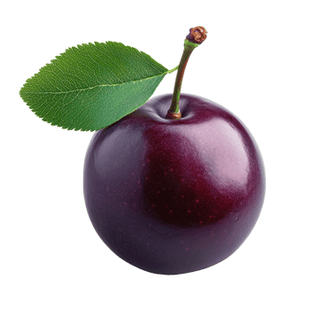 Fresh ripe plum with green leaf on a clean Transparent background, Plum isolated on background png