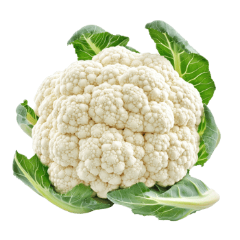 Fresh cauliflower isolated on a white background with green leaves, showcasing its texture and natural colors, Cauliflowerisolated on white background png