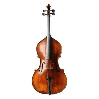 Classic string instrument displayed on a Transparent background showcasing its elegant craftsmanship and design, Isolated music instrument background png