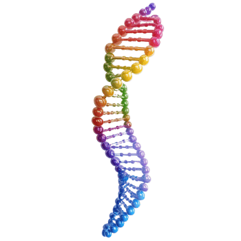 Colorful DNA double helix structure representing genetic information with a clean Transparent background, DNA with biological concept background png