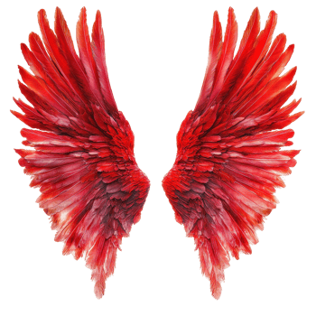 Red angel wings displayed on a Transparent background, symbolizing beauty and grace, Red angel wings on background png