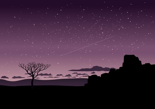 Beautiful quiet night with starry sky and solitary tree in desert vector