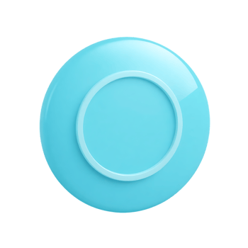 Blue round plate back view. png